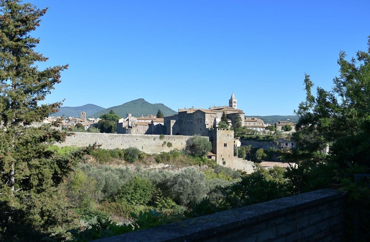 La Finestra Di Umberto Vicino Al Centro Con Parcheggio Privato Bed and Breakfast Viterbo Exteriör bild